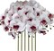 32" Faux Phalaenopsis Orchid Stems – Set of 6 Realistic Artificial Flowers for Vases, Weddings & Home Styling